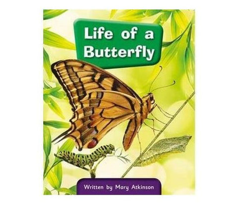 LIFE OF A BUTTERFLY 14C