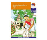 "Via Afrika Sesotho Home Language Intermediate Phase Graded Reader 8:  Lerato ha se ntho e mpe (Printed book.)"
