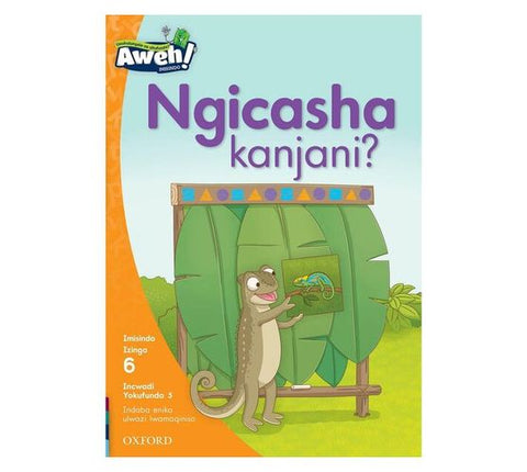 Aweh! isiZulu Reading Scheme Grade 2 Level 6 Reader 5 Ngicasha kanjani?