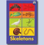 Skeletons / Tselane's Basket
