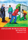 ZIINZANE BUBULUNGISA KUSINI NA?