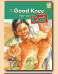 A Good Knee for a Cat