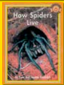 How Spiders Live