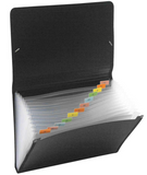 DONAU EXP/FILE 13 POCKET GLASS BLUE (Each)