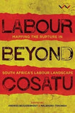 Labour Beyond Cosatu - Mapping the rupture in South Africa's labour landscape (Paperback)