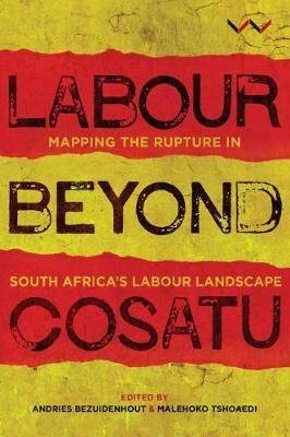 Labour Beyond Cosatu - Mapping the rupture in South Africa's labour landscape (Paperback)