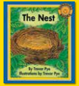 The Nest / Spider - Big Book