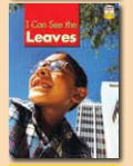 I Can See the Leaves