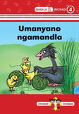 Zimnandi Iindaba Red Series: L2 B4: Umanyano Ngamandla