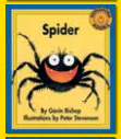 Spider
