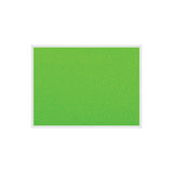 Info Boards ﴾Plastic Frame, Felt﴿ Parrot product