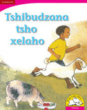 Tshibudzana tsho xelaho Big Book version (Tshivenda)