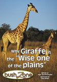 BUSH ZONE READER 11 - WHY GIRAFFE IS THE WISE ONE OF THE ...