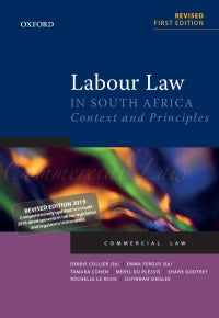 Labour Law in South Africa ePub