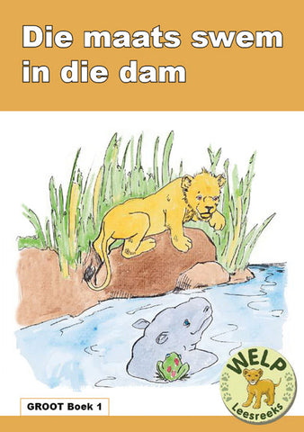 BIG BOOK (AFRIKAANS) 1: MAATS SWEM IN DIE DAM