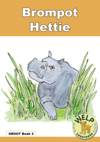 BIG BOOK (AFRIKAANS) 3: BROMPOT HETTIE