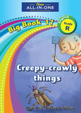 New All-In-One Grade R Big Book 17: Creepy-crawly things!