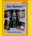 Our Skeleton
