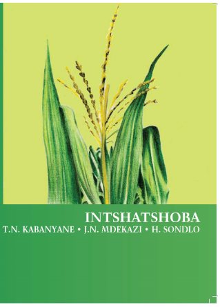 INTSHATSHOBA