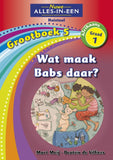 Nuwe Alles-In-Een Graad 1 Huistaal Grootboek 5: Wat maak Babs daar?