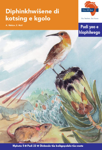 "Via Afrika Sepedi Home Language Intermediate Phase Graded Reader 22:  Diphinkhwišene di kotsing e kgolo (Printed book.)"