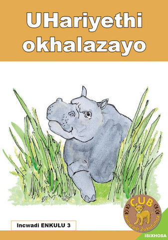 BIG BOOK (XHOSA) 3: UHARIYETHI OKHALAZA