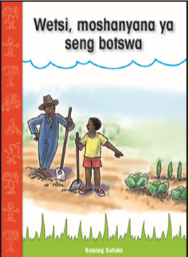 Wetsi, moshanyana ya seng botswa