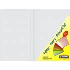 FOLDERS STRAIGHT CUT 180gsm 100`s WHITE 355x460