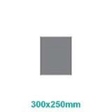 Wall Signs ‐ Flush Parrot Product