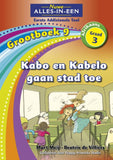 Nuwe Alles-In-Een Graad 3 Eerste Addisionele Taal Grootboek 9: Kabo en Kabelo gaan stad toe