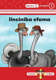 Zimnandi Iindaba Red Series: L1 B1: Iinciniba Efama