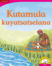 Kutamula kuyatsatselana Big Book version (SiSwati)