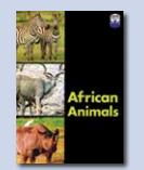 Little Seeds / African Animals