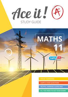 Ace it! Mathematics Grade 11