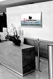 Wall Signs ‐ Flush Parrot Product