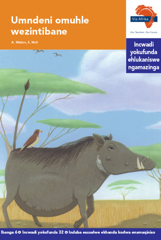 "Via Afrika isiZulu Home Language Intermediate Phase Graded Reader 32: Umndeni omuhle wezintibane (Printed book.)"