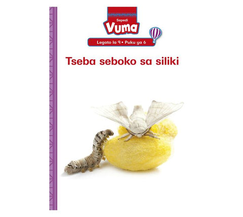 Vuma lagato la 9 Puku ye Kgolo 6: Tseba seboko sa siliki