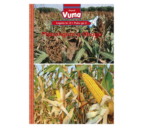 Vuma lagato la 12 Puku ye Kgolo 2: Setšo sa Bapedi