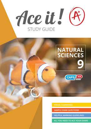 Ace it! Natural Sciences Grade 9