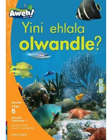 Aweh! isiZulu Reading Scheme Grade 2 Level 6 Reader 7 Yini ehlala olwandle