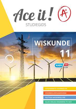 Ace it! Wiskunde Graad 11