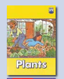 Plants