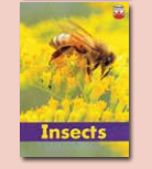 Insects