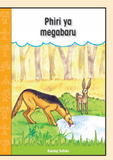 Phiri ya megabaru
