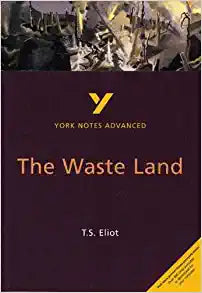 The Waste Land (2nd Edition) Paperback – January 8, 2002 by Alisdair Macrae (Author)