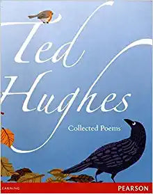 Wordsmith Year 6 collected poems (Wordsmith (Literacy Service)) by Ted Hughes (Author), John Agard (Author)