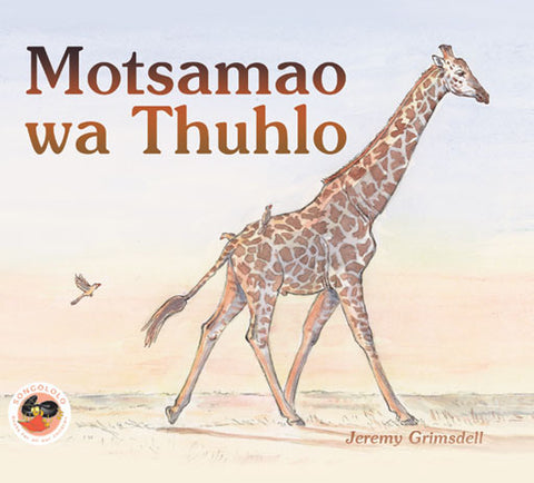 GIRAFFE'S WALK (SESOTHO): MOTSAMAO WA THUHLO