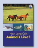 How Long Can Animals Live?