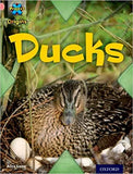 Project X Origins: Pink Book Band, Oxford Level 1+: My Family: Ducks Paperback