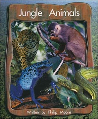 Springboard Lvl 6b: Jungle Animals